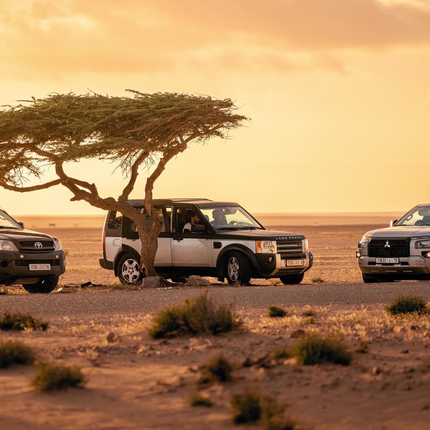 Private 4x4 convoy resting under an acacia at sunset in the Dakhla desert
